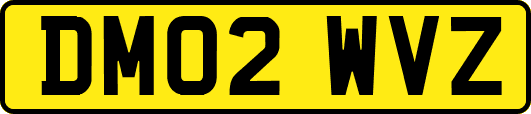 DM02WVZ