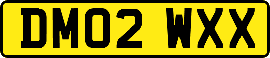 DM02WXX