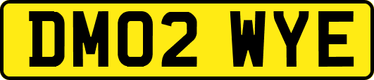 DM02WYE