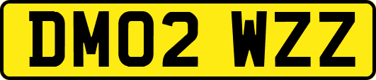 DM02WZZ