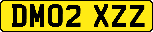 DM02XZZ