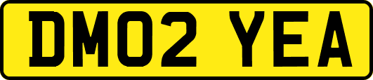 DM02YEA