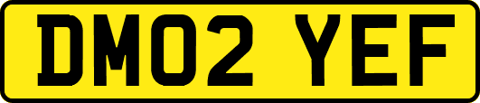 DM02YEF