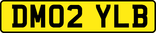 DM02YLB