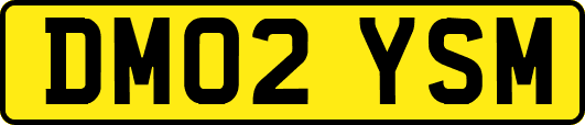 DM02YSM