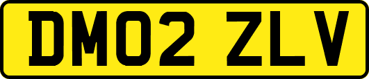 DM02ZLV