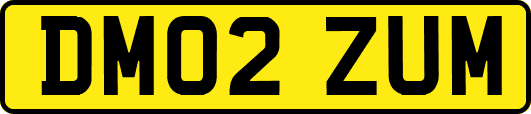 DM02ZUM