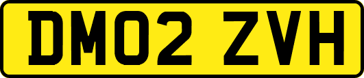 DM02ZVH