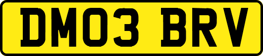 DM03BRV