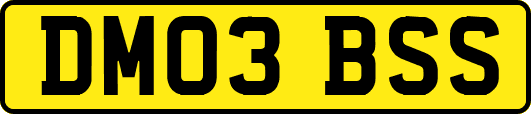 DM03BSS