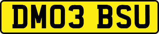 DM03BSU