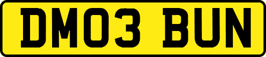 DM03BUN