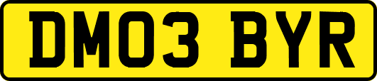 DM03BYR