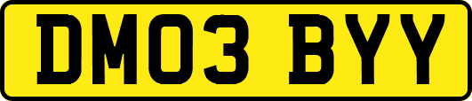 DM03BYY