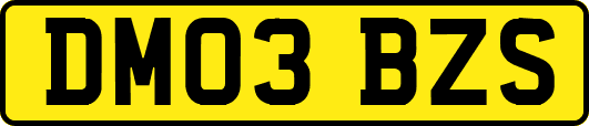 DM03BZS