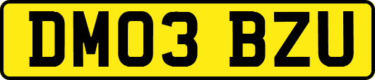 DM03BZU