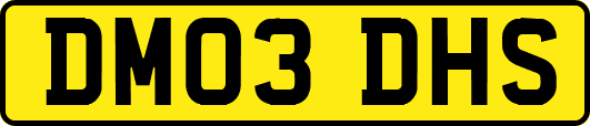 DM03DHS