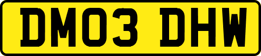 DM03DHW