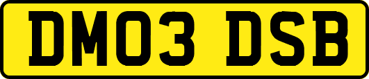 DM03DSB