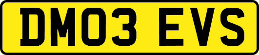 DM03EVS
