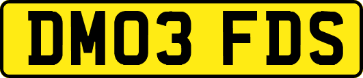 DM03FDS
