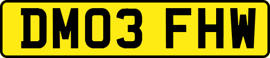 DM03FHW