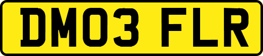 DM03FLR