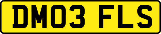DM03FLS