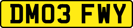 DM03FWY