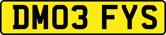 DM03FYS