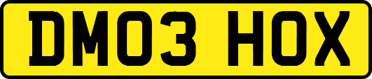 DM03HOX
