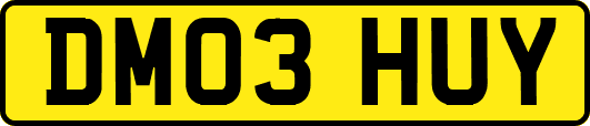 DM03HUY