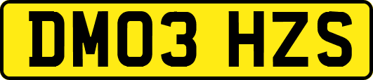 DM03HZS