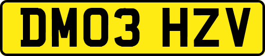 DM03HZV