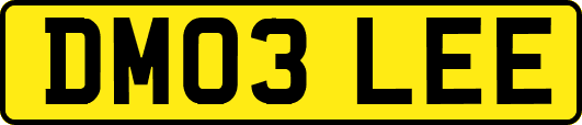 DM03LEE