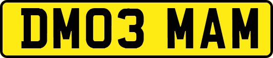 DM03MAM