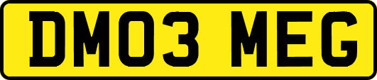 DM03MEG
