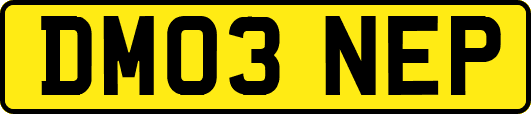DM03NEP