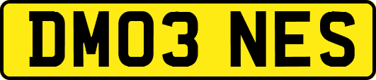 DM03NES