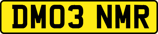 DM03NMR