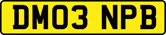 DM03NPB