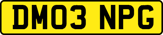 DM03NPG