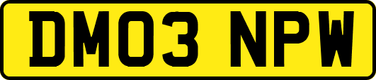 DM03NPW
