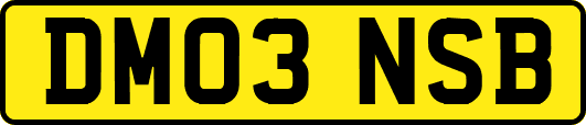 DM03NSB