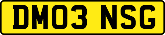 DM03NSG