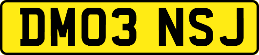 DM03NSJ