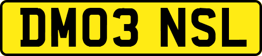 DM03NSL