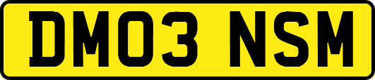 DM03NSM