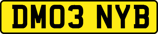 DM03NYB