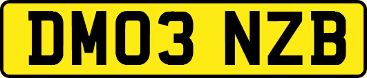 DM03NZB